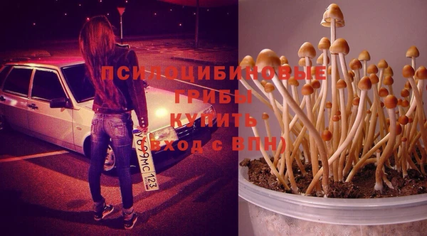 кристаллы Абаза