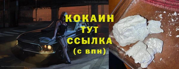крисы Осинники